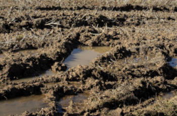 © Wolfgang Claussen de Pixabay